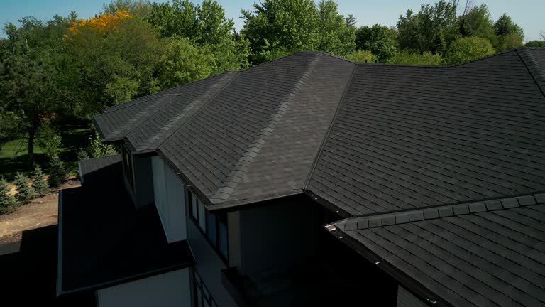 Best Roof Moss and Algae Removal  in Hydro, OK